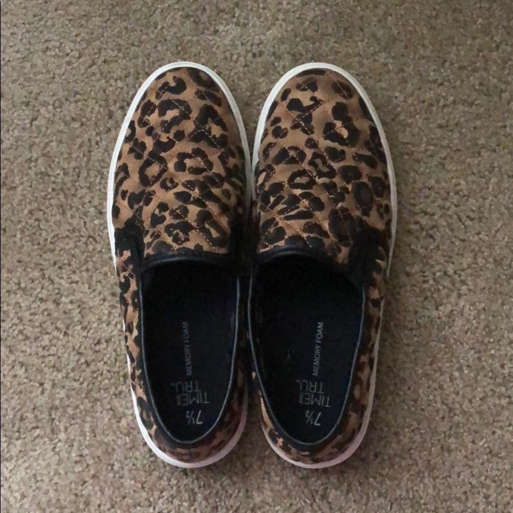 Cheetah Slides